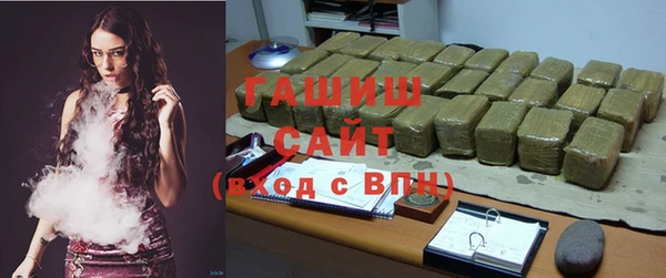 индика Инта