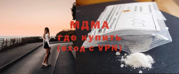 индика Инта