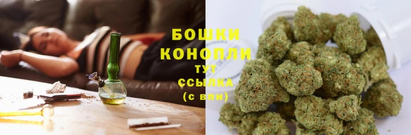 индика Инта