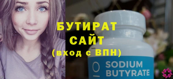 индика Инта