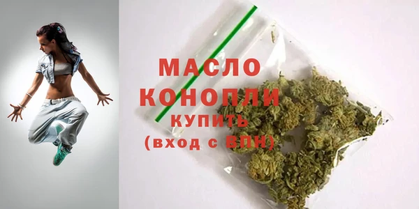 индика Инта