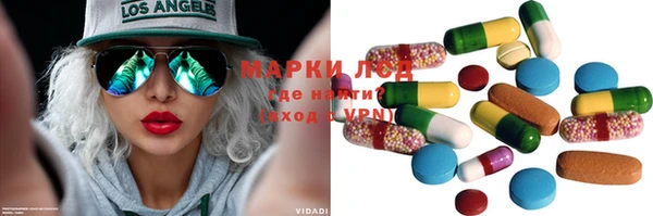 индика Инта