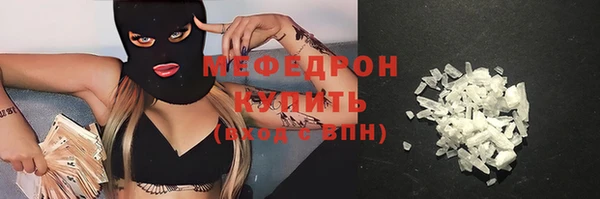индика Инта