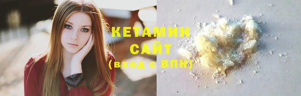 индика Инта