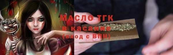 индика Инта