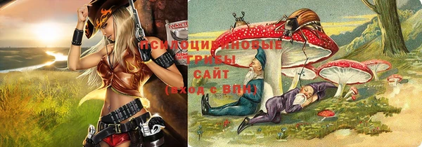 ешки Инсар