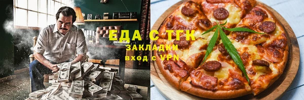 индика Инта