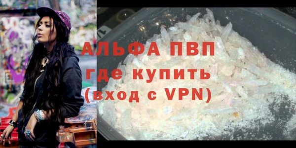 индика Инта
