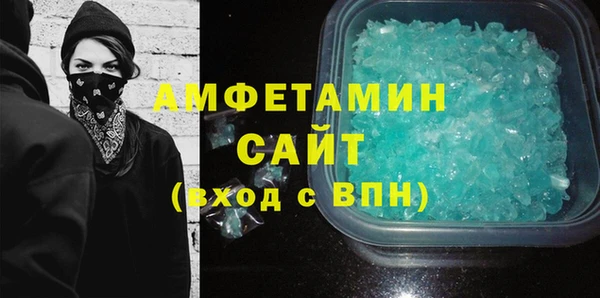 индика Инта