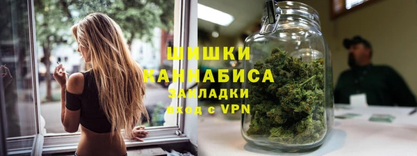 индика Инта