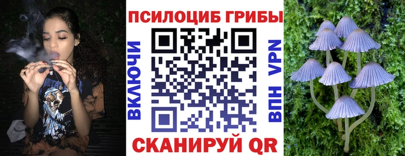Купить Лахденпохья Псилоцибиновые грибы мицелий